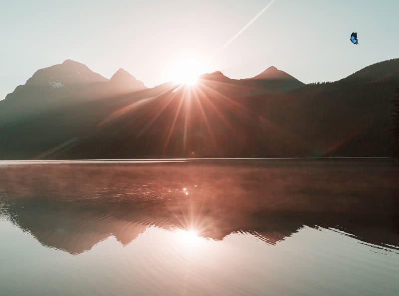 Healing and Connection for Your Soul