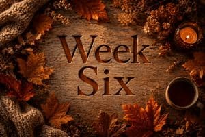 Week Six