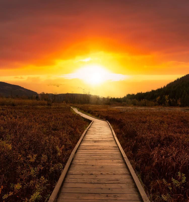 A beautiful boardwalk facing a setting sun
